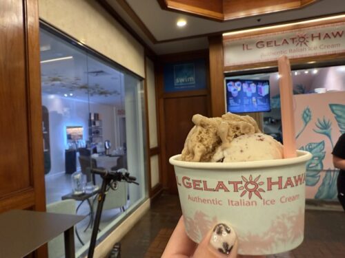 ハワイ_スイーツ_おすすめ_HAWAII_waikiki_ワイキキ_アサイー_ジェラート_IL_GELATO