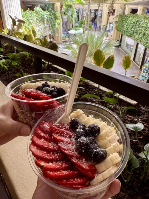 ハワイ_スイーツ_おすすめ_HAWAII_waikiki_ワイキキ_アサイー_ジェラート_IL_GELATO