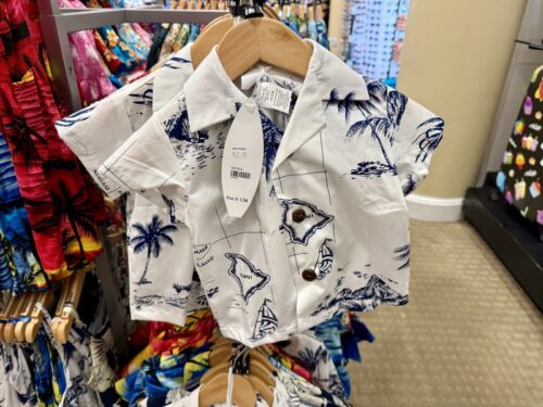 ハワイ_土産_定番_おすすめ_購入品_ABCストア_コンビニ_アロハ