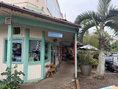 ハワイ_ハレイワ_patagonia_パタゴニア_限定_サーフ_お土産_ノースショア