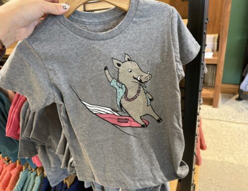 ハワイ_ハレイワ_patagonia_パタゴニア_限定_サーフ_お土産_パタロハ_pataloha