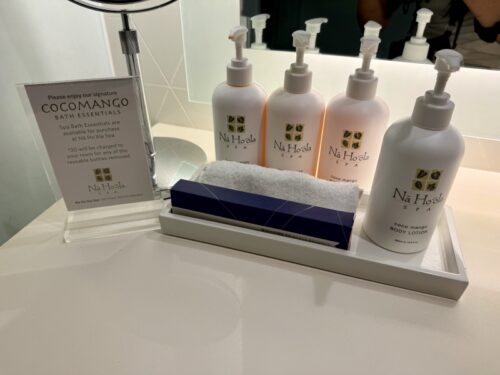 ハワイ_ハイアットリージェンシー _ワイキキ_ホテル_宿泊記_体験談_hyatt_ワイキキビュー_部屋_アメニティ