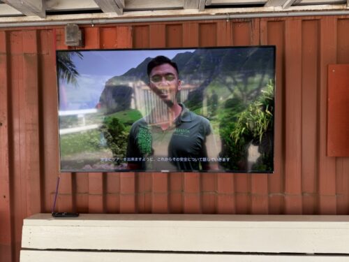 ハワイ_クアロアランチ_ジュラシックワールド_おすすめ_アクティビティ_四輪バギー_UTVtour_ツアー_絶景_映画ロケ