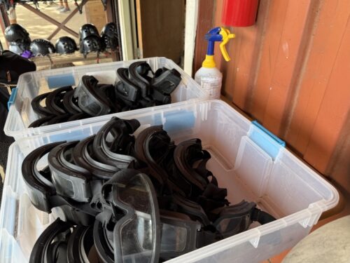 ハワイ_クアロアランチ_ジュラシックワールド_おすすめ_アクティビティ_四輪バギー_UTVtour_ツアー_絶景_映画ロケ