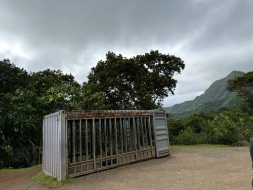 ハワイ_クアロアランチ_ジュラシックワールド_おすすめ_アクティビティ_四輪バギー_UTVtour_ツアー_絶景_映画ロケ