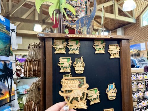 ハワイ_クアロアランチ_ジュラシックワールド_おすすめ_アクティビティ_四輪バギー_UTVtour_ツアー_絶景_映画ロケ