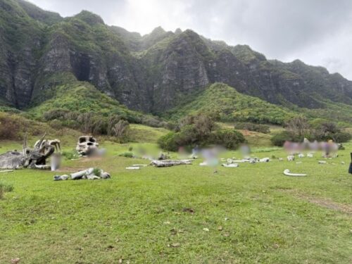 ハワイ_クアロアランチ_ジュラシックワールド_おすすめ_アクティビティ_四輪バギー_UTVtour_ツアー