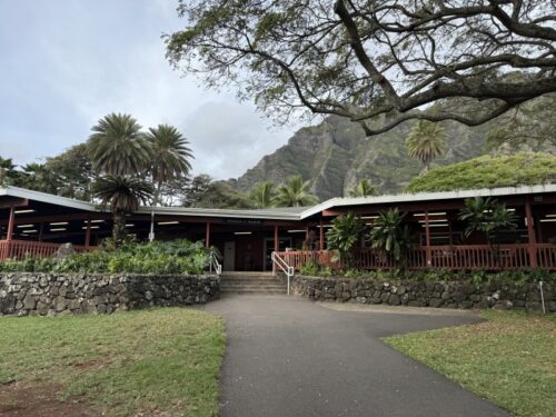 ハワイ_クアロアランチ_ジュラシックワールド_おすすめ_アクティビティ_四輪バギー_UTVtour_ツアー_絶景_映画ロケ