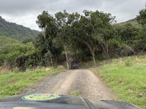 ハワイ_クアロアランチ_ジュラシックワールド_おすすめ_アクティビティ_四輪バギー_UTVtour_ツアー_絶景_映画ロケ