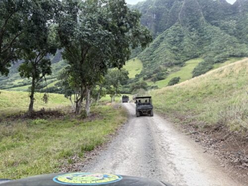 ハワイ_クアロアランチ_ジュラシックワールド_おすすめ_アクティビティ_四輪バギー_UTVtour_ツアー_絶景_映画ロケ