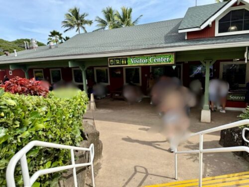 ハワイ_クアロアランチ_ジュラシックワールド_おすすめ_アクティビティ_四輪バギー_UTVtour_ツアー_絶景_映画ロケ