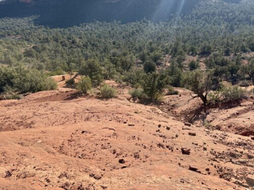 ボイントンキャニオン_セドナ_アリゾナ_ボルテックス_sedona_boynton_canyon _トレイル_VISTA