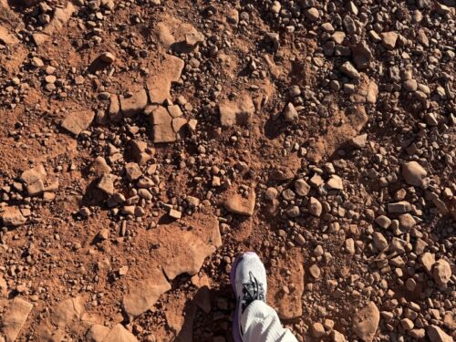 ボイントンキャニオン_セドナ_アリゾナ_ボルテックス_sedona_boynton_canyon _トレイル_VISTA