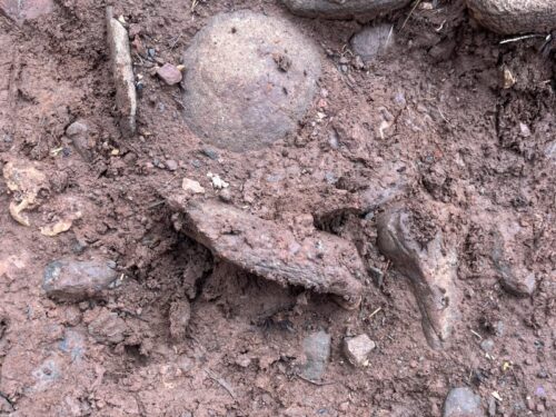 アリゾナ_セドナ_エアポートメサ_sedona_ボルテックス_トレイル＿sedonaビュー