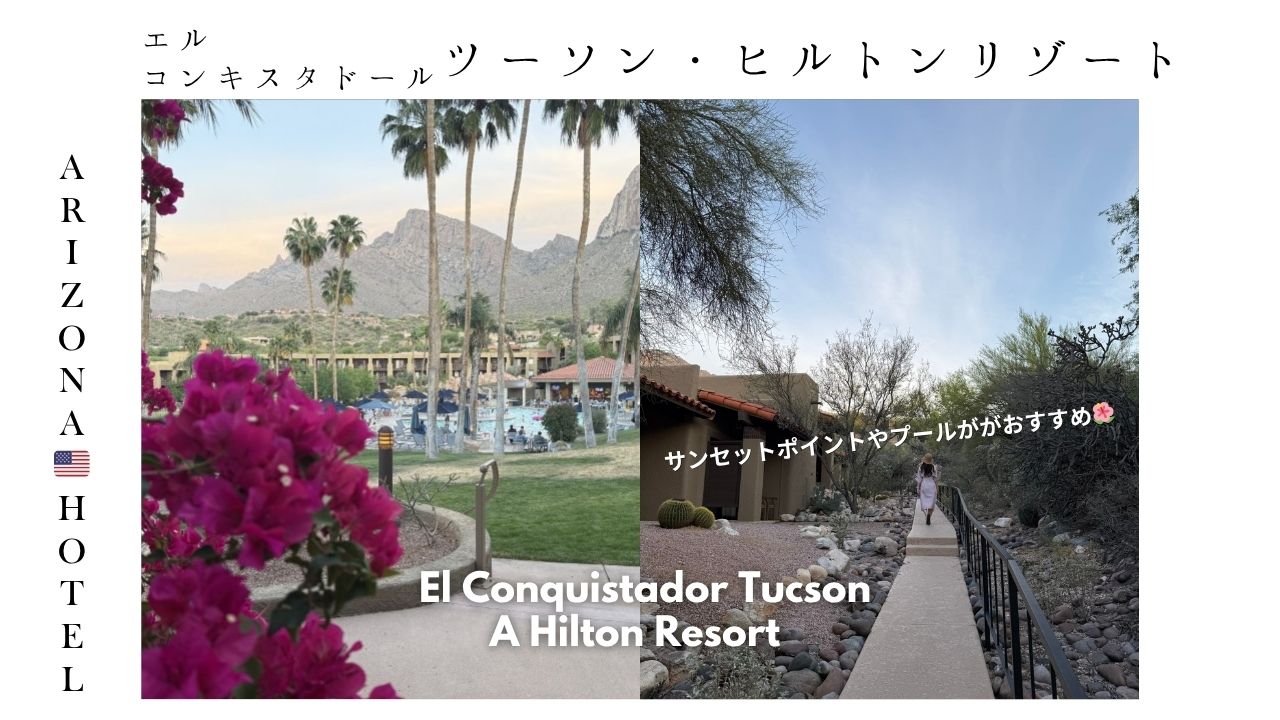 ツーソン_ホテル_ヒルトン_宿泊記_el-conquistador-tucson_プール_景色_サボテン_大人専用