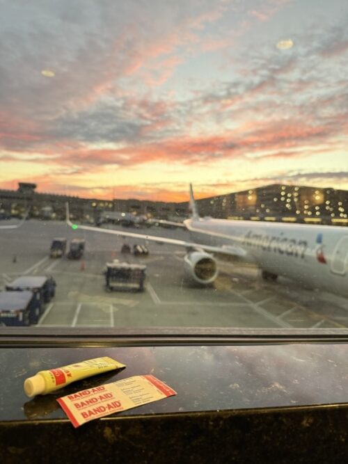 アリゾナ_サボテン_az_cactus_テディベア_駐在帯同_注意_気をつけたい_怪我_オロナイン