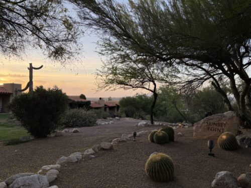 ツーソン_ホテル_ヒルトン_宿泊記_el-conquistador-tucson_景色_サボテン_夕焼け_サンセット