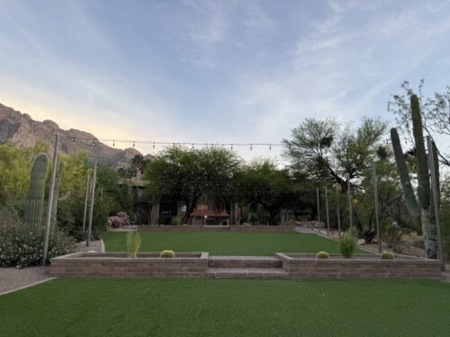 ツーソン_ホテル_ヒルトン_宿泊記_el-conquistador-tucson_景色_サボテン