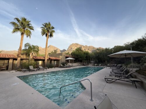 ツーソン_ホテル_ヒルトン_宿泊記_el-conquistador-tucson_プール_景色_サボテン_大人専用