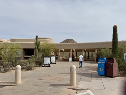 アリゾナ_サボテン_ツーソン_saguaro_cactus_花_ビジターセンター_サワロ国立公園