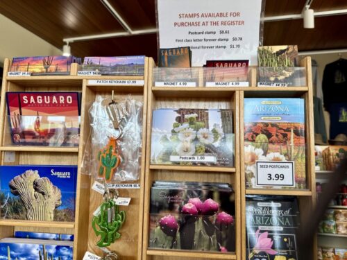 アリゾナ_サボテン_ツーソン_saguaro_cactus_花_ビジターセンター_サワロ国立公園_ギフト_土産
