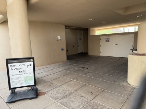 アリゾナ_サボテン_ツーソン_saguaro_cactus_花_ビジターセンター_サワロ国立公園_トイレ