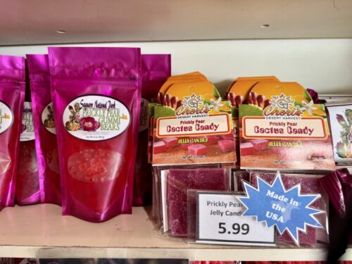 アリゾナ_サボテン_ツーソン_saguaro_cactus_花_ビジターセンター_サワロ国立公園_ギフト_土産