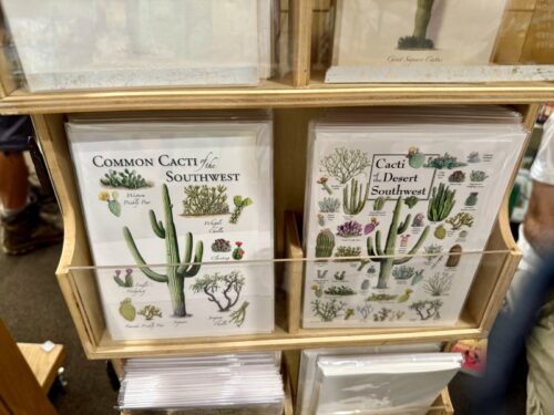 アリゾナ_サボテン_ツーソン_saguaro_cactus_花_ビジターセンター_サワロ国立公園_ギフト_土産