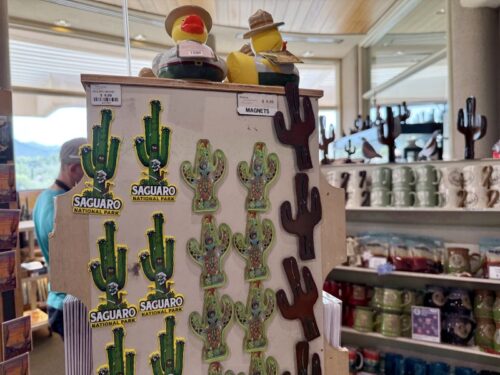 アリゾナ_サボテン_ツーソン_saguaro_cactus_花_ビジターセンター_サワロ国立公園_ギフト_土産