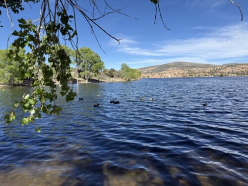 アリゾナ_プレスコット_ワトソン湖_観光_お出かけ_トレイル_散歩_景色_バードウォッチング_ピクニック