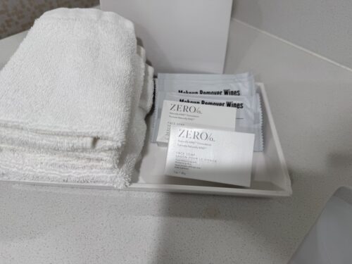 アリゾナ_ページ_ホテル_アンテロープキャニオン_ヒルトン_Home2_観光_アメニティ