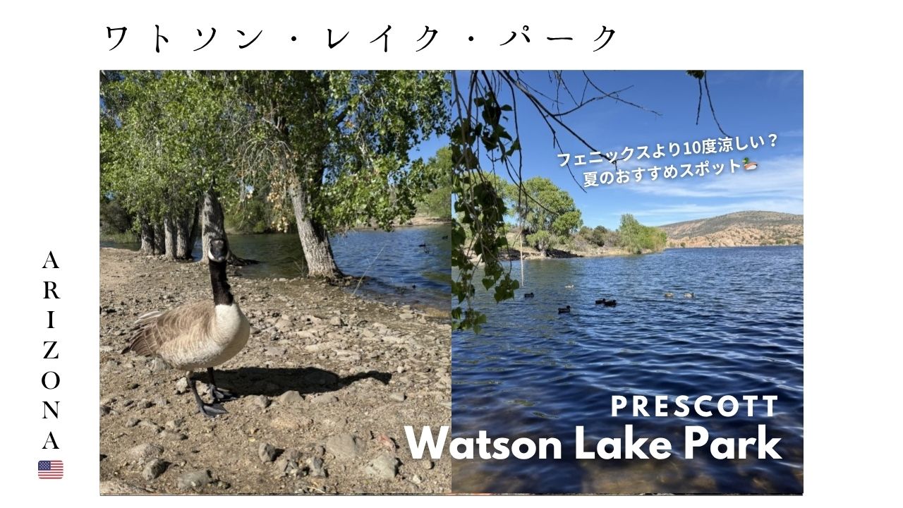 アリゾナ_プレスコット_ワトソン湖_カヌー_カヤック_ピクニック_観光_お出かけ_トレイル_散歩
