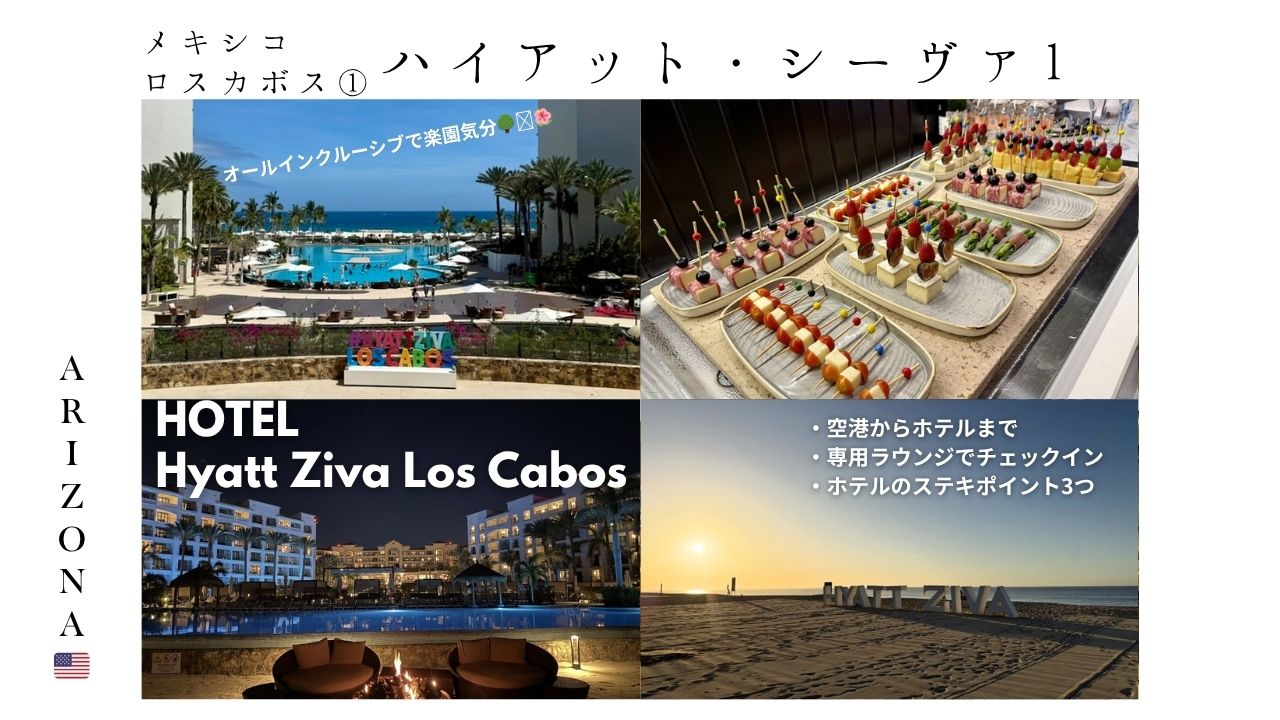 メキシコ_ロスカボス_ハイアットシーヴァ_ziva_loscabos_ホテル_オールインクルーシブ_おすすめ_プール