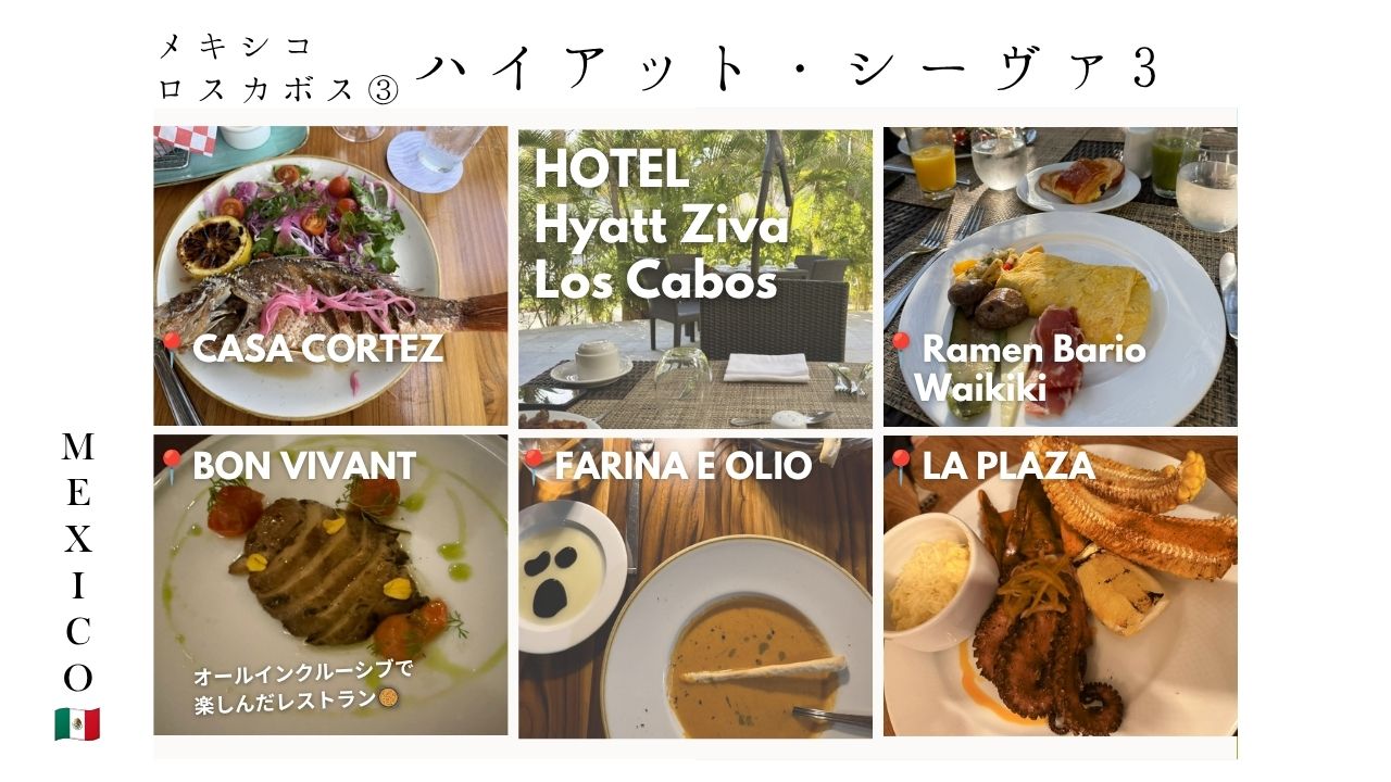 メキシコ_ロスカボス_ハイアットシーヴァ_ziva_ホテル_オールインクルーシブ_レストラン_おすすめ