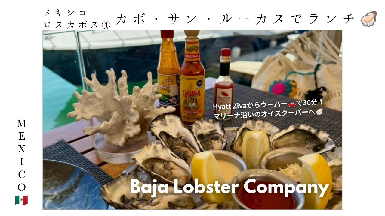 メキシコ_カボサンルーカス_牡蠣_オイスター_レストラン_おすすめ_海_テラス_oysterbar_BajaLobsterCompany