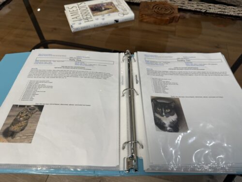 ã¢ãªãŸã_ç«ã«ãã§_ã¡ãµ_ä¿è·ç«_catcafe_mesa