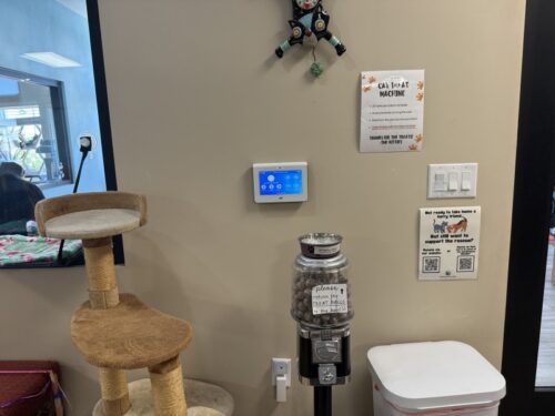 ã¢ãªãŸã_ç«ã«ãã§_ã¡ãµ_ä¿è·ç«_catcafe_mesa