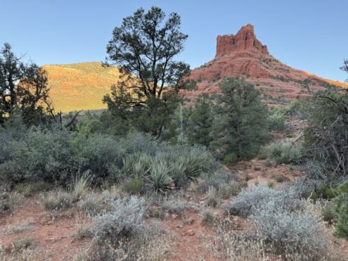 ã»ãã_ãã«ããã¯_ãã¬ã€ã«_sedona-bellrock_芳å
_ææ¥_æ¯è²_ãã«ããã¯ã¹