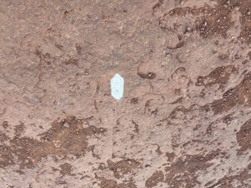 ã»ãã_ãã«ããã¯_ãã¬ã€ã«_sedona-bellrock_芳å
_ææ¥_æ¯è²