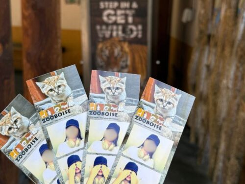 アイダホ_ボイジー_ボイシ_観光スポット_おすすめ_動物園_boisezoo