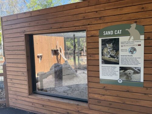 アイダホ_ボイジー_ボイシ_観光スポット_おすすめ_動物園_boisezoo