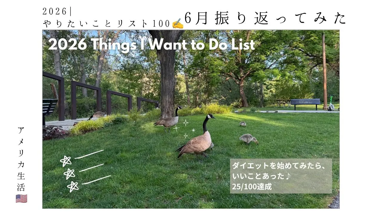 6月_やりたいことリスト100_todo_試験勉強_習慣_筋トレ_アメリカ駐在妻