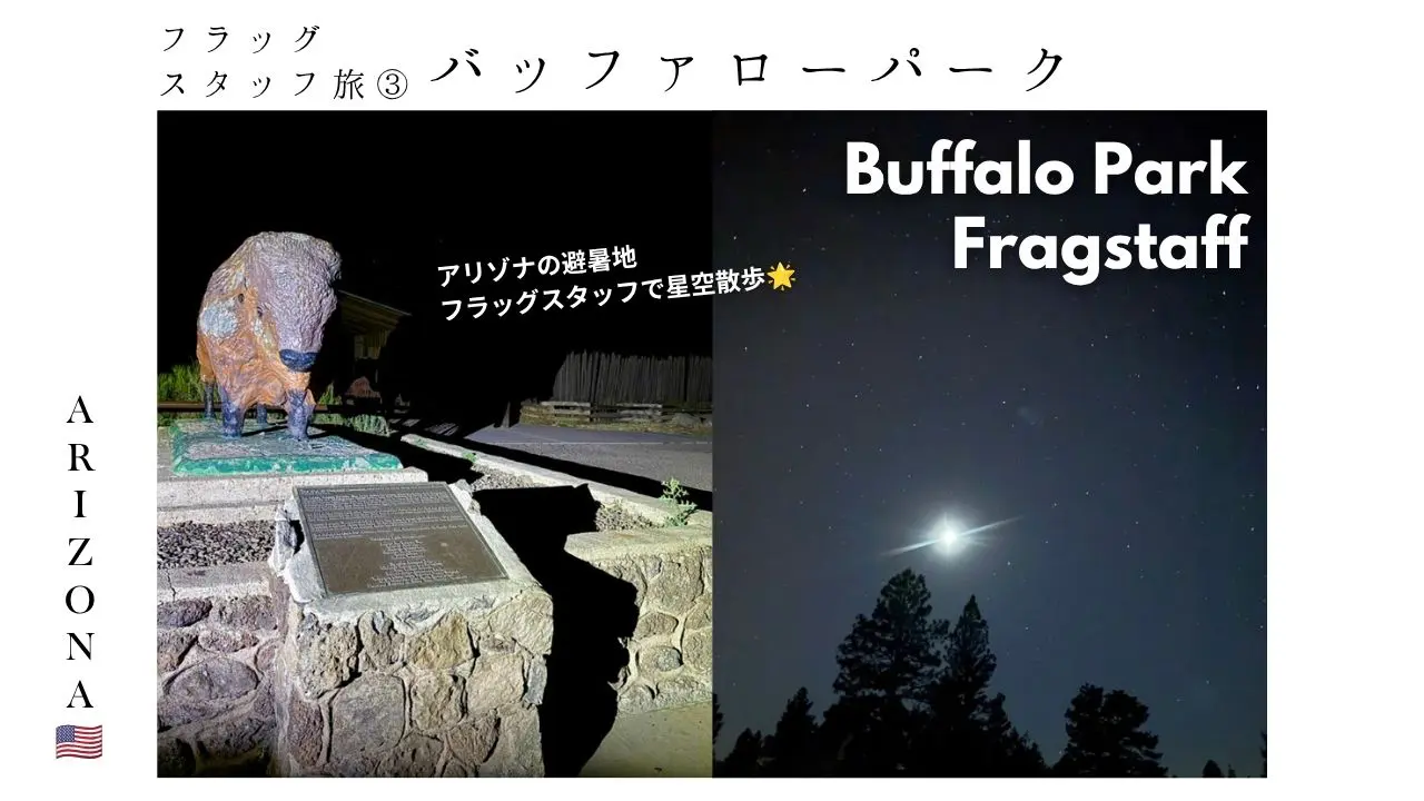 アリゾナ_避暑地_バッファローパーク_星空_観光_旅行_フラッグスタッフ_夜景_トレイル_散歩