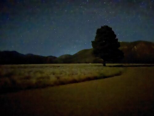 アリゾナ_バッファローパーク_星空_フラッグスタッフ_夜景_トレイル_散歩
