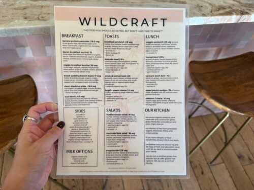 アリゾナ_セドナ_カフェ_かわいい_モーニング_wildcraft_アサイー
