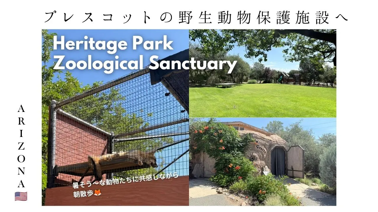プレスコット_動物園_アリゾナ_観光_HeritagePark_Lemur catta_野生動物_保護施設_家族_ファミリー_子ども_遊べる