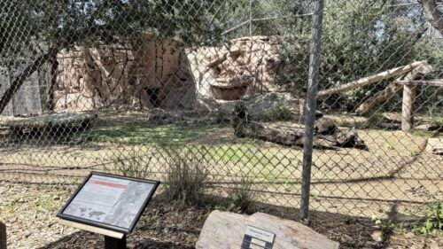 プレスコット_動物園_アリゾナ_観光_HeritagePark
