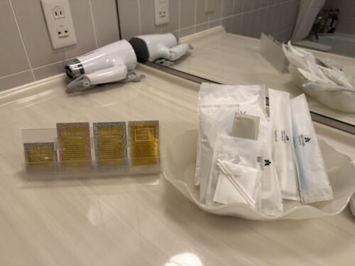 大阪_日本_一時帰国_ホテル日航_関西空港_宿泊_部屋_バスルーム